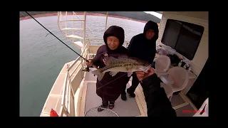 Fishing at Lake Shasta - June 2022