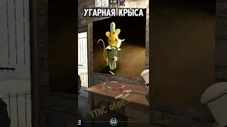 РАЗРЫВНАЯ танцующая КРЫСА! 🤣🤣 НАРЕЗКИ УГАРА Sodaeffect CS2 #shorts