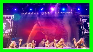 Michael Flatley "Celtic Tiger" Song by Ronan Hardiman "Celtic Kittens"