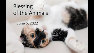 Blessing of the Animals. June 5, 2022