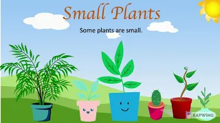 | Plants around us | Types of plants | plants for kids | different type of plants | class 1 |lesson