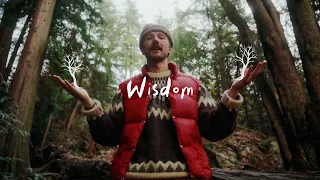 The Wisdom Of Trees Changed My Life