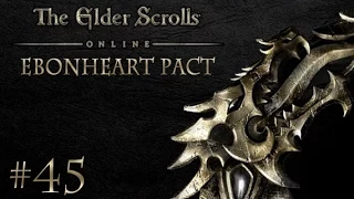 Elder Scrolls Online: Ebonheart Pact #45