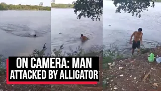 "He Tried To Get Away": Swimmer Attacked By Alligator In Terrifying Video | Cobrapost