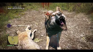 FarCry 4 Разорить волчье логово