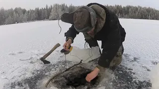 Коряга или рыбина?? Первый лёд, рыбалка