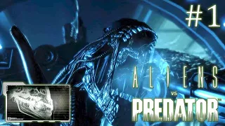 Aliens versus Predator 2010 // За чужого // Часть 1