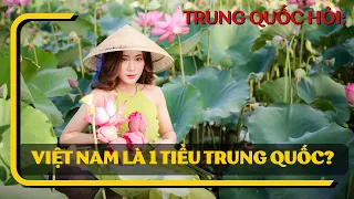 Netizen Trung Quốc:  Phải chăng Việt Nam chỉ là phiên bản nhỏ của Trung Quốc? | Top Comment