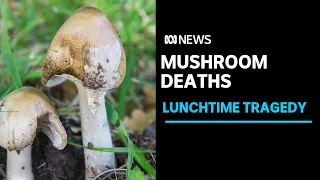 Mushroom deaths: Daughter-in-law served meal that killed three, Victoria Police believe | ABC News