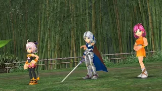 I Gave the Wrong Support BT+?? (Forcefully With Dignity - Iroha IW Shinryu) [DFFOO]
