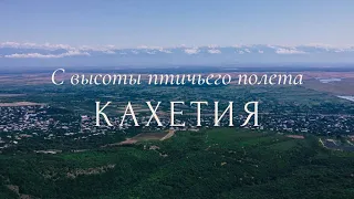 Невероятная Кахетия (Грузия) с высоты птичьего полета. Видео с дрона