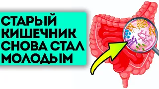 Хитрости, о которых не расскажет твой врач! Восстановить микрофлору кишечника можно этими способами