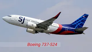 АВИАКАТАСТРОФА BOEING 737-524 | ИНДОНЕЗИЯ | 9 ЯНВАРЯ 2021 | RFS
