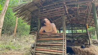 FULL VIDEO: off-grid free life, build kitchen from stone, wood and bamboo / Anh Bushcraft.
