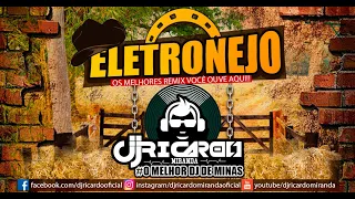 ELETRONEJO -  Barões Da Pisadinha   Cabeça Voando (DJ RICARDO MIRANDA) REMIX 2020