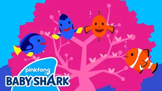 Coral Reefs | Sea Animals Songs | Baby Shark and Sea Animals | Baby Shark Official