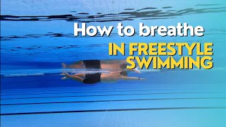 Freestyle Breathing | How to Breathe while Swimming #swimming #breathing #swim