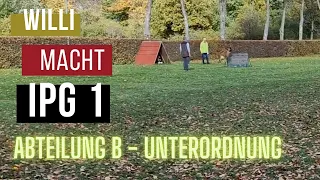 IGP1 Abteilung B Unterordnung Prüfung ++ Willis erste Prüfung