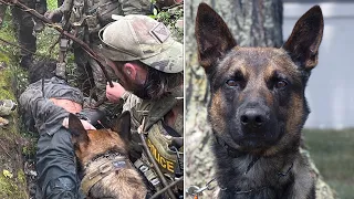 K-9 named Yoda helped authorities capture escaped murderer in Pennsylvania