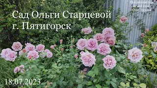 Ответы на ваши вопросы и прогулка по саду 18.07.2023 г. Пятигорск, зона 6б-7а.