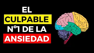 Reprograma el cerebro ansioso 🧠 (Domina tu mente)