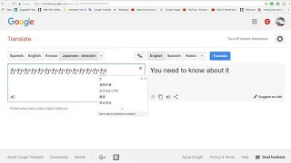 Confusing Google Translate With Funny Glitches - Japanese to English