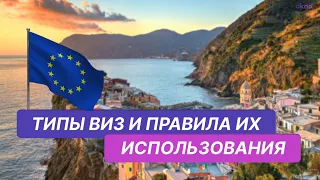 ВНЖ, ПМЖ, Виза, Гражданство: в чем разница? Какие права я получаю?