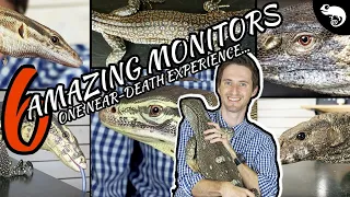 Six of the Best Pet Monitor Lizards