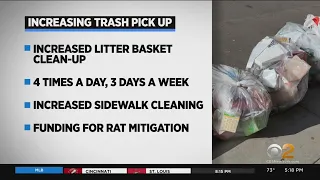 New York City councilwoman promises cleaner streets on the East Side