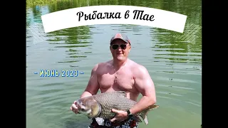 Озерная рыбалка в Таиланде. Chalong Fishing Park.