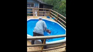 Boxer Dog Fall Into Pool - Saved By Master! 😢 #boxerdog #dogs #pools