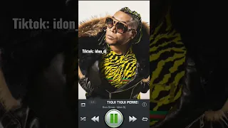 Tigui Tigui Don Omar Remix Extended Dj Idon #music #donomar #reggaeton
