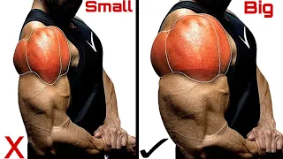 Workout for Shoulder to Build Big Shoulders in 21 Days at Gym