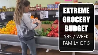 $85 HEALTHY GROCERY HAUL / What my family of 5 eats in a week / Plant-based & Vegan Meals