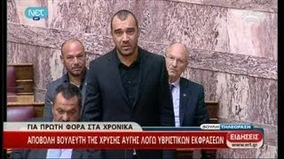 Αποβολή βουλευτή της Χρυσής Αυγής λόγω υβριστικών εκφράσεων - 17/05/2013 | ΕΡΤ