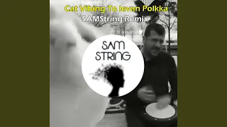 Cat Vibing To Ievan Polkka (Remix)