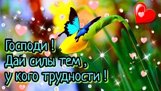 🙏💗 Я молюсь за  Вас💓🙏 Пусть Вас хранит Бог!🙏Желаю мира и добра!🌞🕊Доброго  утра благословенного дня