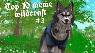 top 10 meme wildcraft # 3