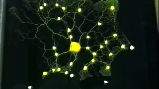 Bionic Partition (Slime Mold Growth) | Nature–Design Triennial