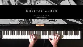 CHEETA2 ms800 /Dorian Dumont (Aphex Twin)