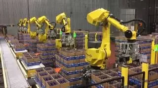 Automated Decasing System Uses Six FANUC Robots to Decase Bottles - StrongPoint Automation