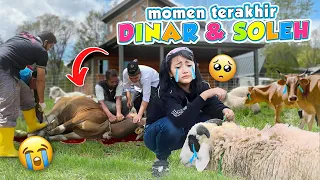 DETIK-DETIK TERAKHIR DINAR BERSAMA KAMBING SOLEH🥹 SEDIH BANGET😢😭 #viral #trending