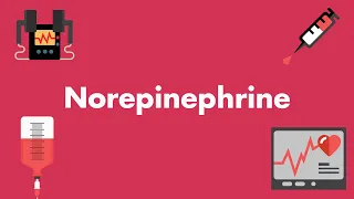 Norepinephrine - Vasopressors & Inotropes - MEDZCOOL