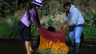 Mientras usted duerme la gente aquí trabaja Toda la noche Preparando las Mejores Verduras ALMOLONGA