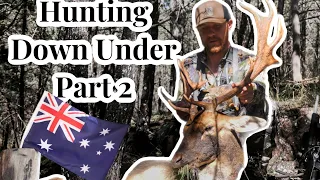 HUNTING AUSTRALIA. FALLOW DEER HUNTING. JUST RELENTLESS DOWN UNDER PART 2.
