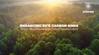 INFORMA: Enhancing EU's carbon sinks through sustainable forest management