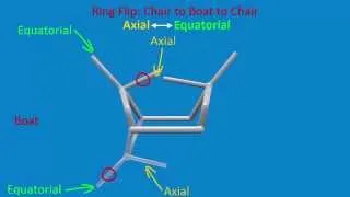 Different Conformations of Cyclohexane