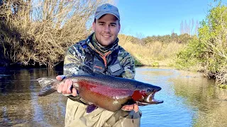 Fly Fishing Taupo's Rivers // August 2023