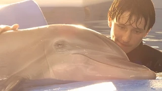 Dolphin Tale 2 - "Look Who's Running the Show" Featurette [HD]