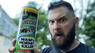 How to spray a paper wasp nest!